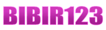 BIBIR123